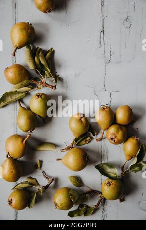 Kleine Birnen auf weißem Hintergrund Stockfoto