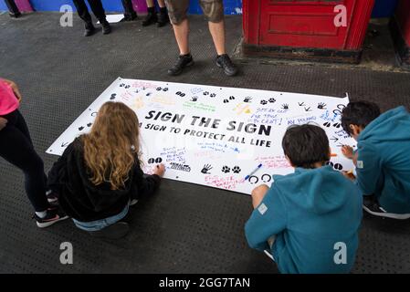National Animal Rights March, organisiert von Animal Rebellion and Extinction Rebellion in der City of London, England, Großbritannien. Mehrere tausend Menschen schlossen sich der Gruppe an, die sich für die Umstellung unseres Ernährungssystems auf ein pflanzenbasiertes System zur Bekämpfung der Klimanotlage eingesetzt hat. August 28 2021 Stockfoto
