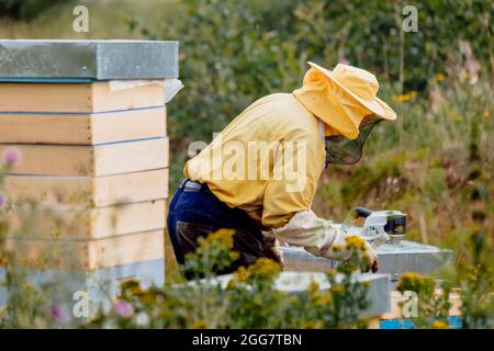 Imker in Schutzkleidung arbeiten in seinem Bienenhaus. Bienenzuchtkonzept Stockfoto