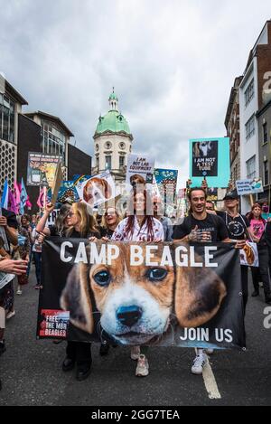 Camp Beagle, Free the MDR Beagle, National Animal Rights March, organisiert von Animal Rebellion and Extinction Rebellion in der City of London, England, Großbritannien. Mehrere tausend Menschen schlossen sich der Gruppe an, die sich für die Umstellung unseres Ernährungssystems auf ein pflanzenbasiertes System zur Bekämpfung der Klimanotlage eingesetzt hat. August 28 2021 Stockfoto