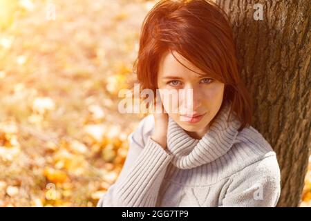 Die schöne junge Brünette sitzt auf herbstlichen Herbstblättern im Park und lehnt ihren Rücken an einen Baumstamm. Mädchen in einem grauen Strickpullover. Herbstsonniger Tag im Park. Stockfoto