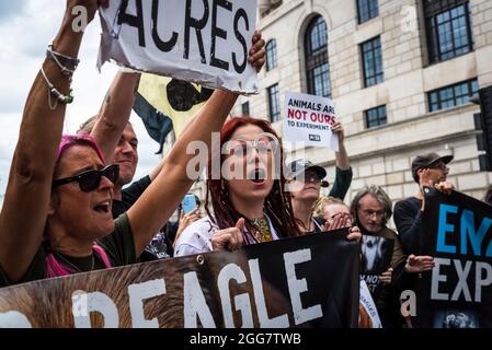 Camp Beagle, Free the MDR Beagle, National Animal Rights March, organisiert von Animal Rebellion and Extinction Rebellion in der City of London, England, Großbritannien. Mehrere tausend Menschen schlossen sich der Gruppe an, die sich für die Umstellung unseres Ernährungssystems auf ein pflanzenbasiertes System zur Bekämpfung der Klimanotlage eingesetzt hat. August 28 2021 Stockfoto