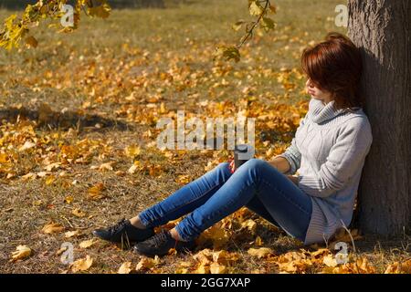 Schönes Mädchen im Herbstwald. Eine Frau sitzt an einem sonnigen Tag in einem Strickpullover in der Nähe eines Baumes in einem Herbstpark, genießt die Stille an einem sonnigen, warmen Tag Stockfoto