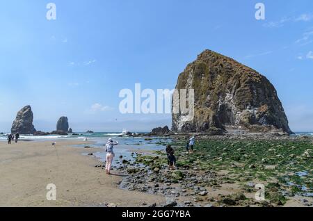 Familie mit kleinem Kind spielt vor dem Haystack Rock am Cannon Beach, Oregon, USA. Stockfoto