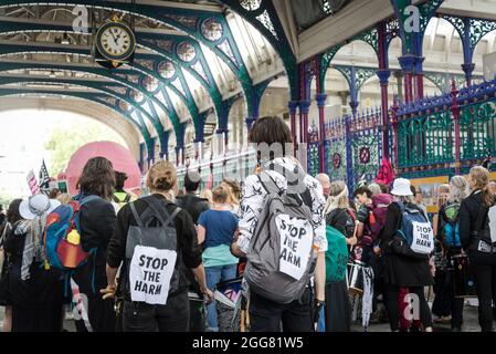 National Animal Rights March, organisiert von Animal Rebellion and Extinction Rebellion in der City of London, England, Großbritannien. Mehrere tausend Menschen schlossen sich der Gruppe an, die sich für die Umstellung unseres Ernährungssystems auf ein pflanzenbasiertes System zur Bekämpfung der Klimanotlage eingesetzt hat. August 28 2021 Stockfoto