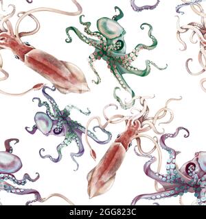 Aquarell Tintenfisch Tintenfisch nahtlose Muster, handbemalte Illustration Stockfoto