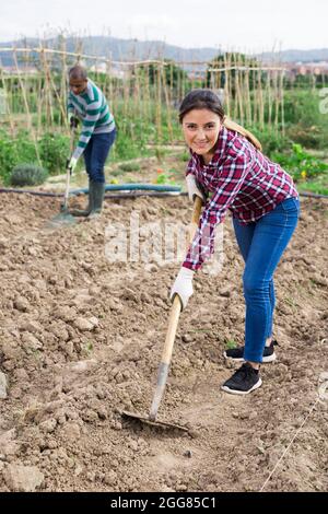 Kolumbianische Gärtnerin hagt Boden auf Gemüsegarten Stockfoto