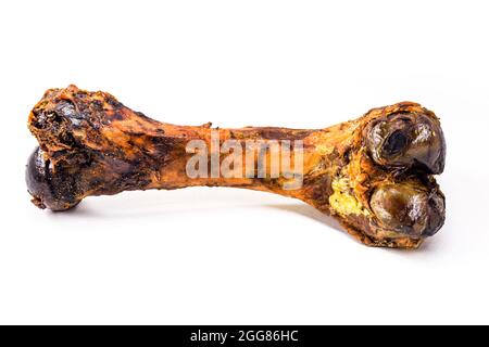 Künstlicher und realistischer Knochen für Hunde, Kauspielzeug für Hunde, auf isoliertem weißem Hintergrund. Stockfoto