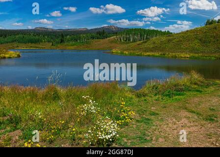 Blick auf die Kaninchenohren über den schlammigen Passsee. Stockfoto