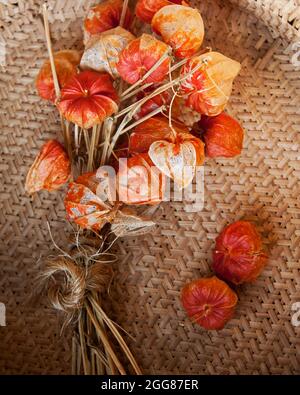 Getrocknete chinesische Laternenpflanzen mit orangefarbenem Etui im Korbkorb für Herbst- oder Herbstdekorationen Stockfoto