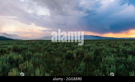 Bei Sonnenuntergang kommt Regen durch den Caribou-Targhee National Forest Stockfoto