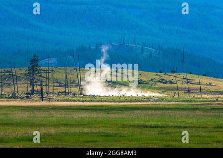 Im Yellowstone National Park Geyser Basin steigt Dampf aus den Thermalbecken Stockfoto