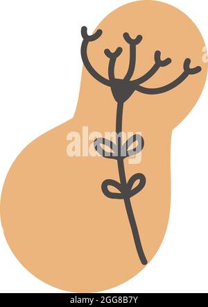 Kalifornische Mohnblume, Illustration, Vektor auf weißem Hintergrund. Stock Vektor