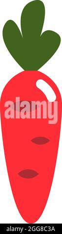 Orange Karotte, Illustration, Vektor auf weißem Hintergrund. Stock Vektor
