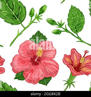 Illustration eines nahtlosen Musters von Hibiskusblüten und Blättern einer Pflanze auf einem Hintergrund Stockfoto