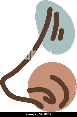 Menschliche Nase, Illustration, Vektor, auf weißem Hintergrund. Stock Vektor
