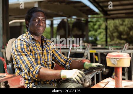 Der Mann, der im Frühjahr den Traktor fährt, arbeitet auf dem Kuhstall Stockfoto