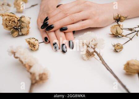 Weibliche Hände mit dunkler Maniküre und trockenen Blüten. Stockfoto