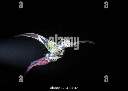 Die Hatchling, sowohl eine Marionette als auch ein Drachen, fliegen über Plymouth Hoe, atemberaubend im Rampenlicht nach Sonnenuntergang. Die riesige Puppe und das Straßentheater sind ein Teil davon Stockfoto