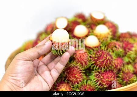 Rambutan Früchte auf der Hand Ernte aus dem Garten, Thai Früchte in einem Bambuskorb auf weißem Hintergrund platziert. Frische Rambutan Sommerfrüchte aus dem Garten Stockfoto