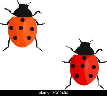 Zwei Marienkäfer, Illustration, Vektor auf weißem Hintergrund. Stock Vektor
