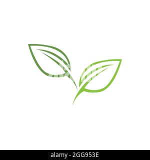 Logos von grünen Blatt Ökologie Natur Element Vektor Stock Vektor