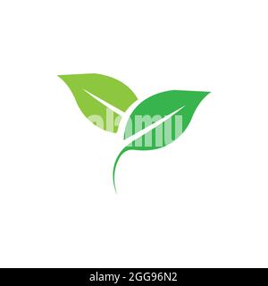 Logos von grünen Blatt Ökologie Natur Element Vektor Stock Vektor
