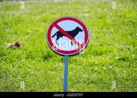 Das Gehen von Hunden ist verboten. Warnschild für Hundezüchter. Hochwertige Fotos Stockfoto