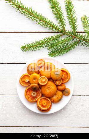 Frische Pilze oranger Milchkap oder falscher Safranmilchkap, Lactarius Deterrimus auf Teller, weißer Holztäfelhintergrund mit Fichtenzweig zur Dekoration. Stockfoto