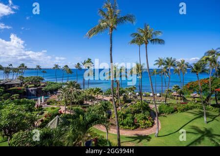 Blick auf den kristallblauen Pazifik und die hohen Palmen des Ka'anapali Beach, der sich in Lahaina, Hawaii, auf der Insel Maui befindet. Stockfoto