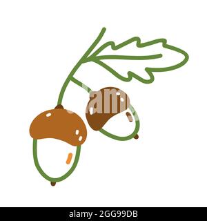 Zweig mit Eicheln und Blättern im Doodle-Stil. Handgezeichnete Vektorgrafik isoliert auf weißem Hintergrund. Perfekt für Karten, Logo, Herbst- und Urlaubsdesigns, Dekorationen. Stock Vektor