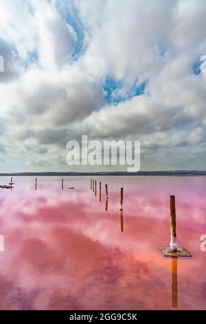 Torrevieja Pink Lake at Natural Park de Las Lagunas de La Mata e Torrevieja, Provinz Alicante, Spanien. Vertikal Stockfoto
