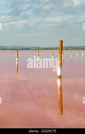 Torrevieja Pink Lake at Natural Park de Las Lagunas de La Mata e Torrevieja, Provinz Alicante, Spanien. Vertikal Stockfoto