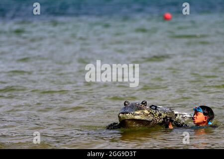 Keelung, Taipei, Taiwan. August 2021. Ein Kind mit einem aufblasbaren Krokodil wird im Ozean in der Nähe eines Strandes in Keelung gesehen, wo Menschenmengen kontrolliert werden, da Taiwan laut dem taiwanesischen CDC nur 3 lokal erworbene Fälle und null Todesfälle berichtet. Nachdem die Versammlungen und Schwimmaktivitäten wieder aufgenommen wurden, verzeichnet die selbstregierte Insel seit ihrem schweren Ausbruch im Mai einen Abwärtstrend bei einheimischen Covid-Infektionen und -Todesfällen, indem sie Impfstoffe für AstraZeneca, Medigen und Moderna zur Verfügung stellt, während sie Impfstoffspenden aus den USA, Japan, Litauen und der Tschechischen Republik erhält. Angesichts des steigenden M in China Stockfoto