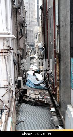 Hong Kong Nathan Road Mongkok und Prince Edward Gebiet von China Stockfoto