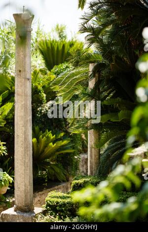 Alte verwitterte Ruinen mit klassischen Säulen in üppig grünen tropischen Blättern exotischer botanischer Gärten Stockfoto