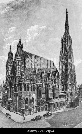 ´s 13. Und 14. Jahrhundert katholischer Stephansdom oder Stephansdom, Wien, Österreich, Europa, Hauptstädte der Welt, Historische Abbildung 1897 Stockfoto