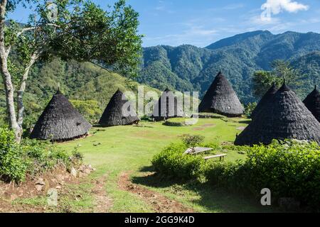 Überblick über das traditionelle Dorf WAE Rebo in den bewaldeten Bergen von East Nusa Tenggara, Flores, Indonesien Stockfoto