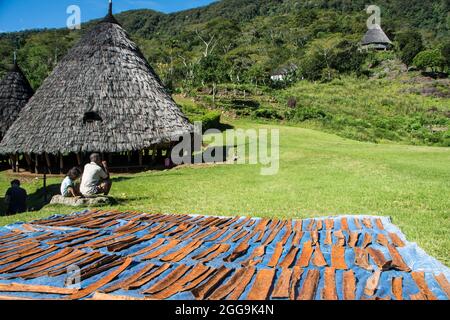 Trocknen von Zimt im traditionellen Dorf WAE Rebo in den bewaldeten Bergen von East Nusa Tenggara, Flores, Indonesien Stockfoto