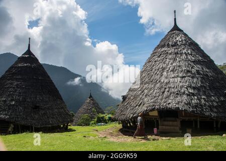 Konische reetgedeckte Häuser des traditionellen Dorfes WAE Rebo in den bewaldeten Bergen von Ost-Nusa Tenggara, Flores, Stockfoto