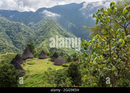 Überblick über das traditionelle Dorf WAE Rebo in den bewaldeten Bergen von East Nusa Tenggara, Flores, Indonesien Stockfoto