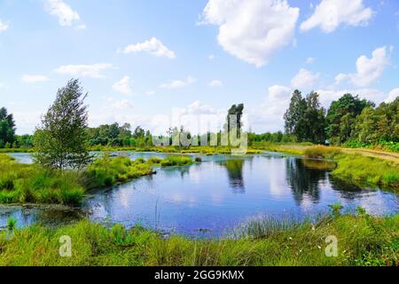 Naturschutzgebiet Diepholzer Moor bei Diepholz. Landschaft in einem Hochmoor. Stockfoto