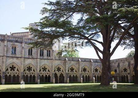 Blick auf den Kreuzgang in der Salisbury Cathedral in Wiltshire in Großbritannien Stockfoto