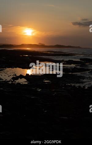 Sonnenuntergang im Bamburgh Castle vom Seahouses Harbour, Northumberland, England. Stockfoto