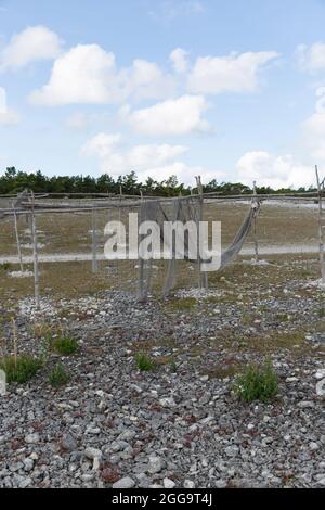 Fischernetze trocknen auf einem Stand im alten Fischerdorf Helgumannen, Fårö, Schweden Stockfoto