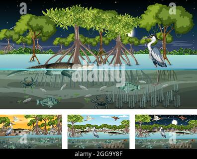 Verschiedene Mangrovenwaldlandschaftsszenen mit verschiedenen Tieren Illustration Stock Vektor