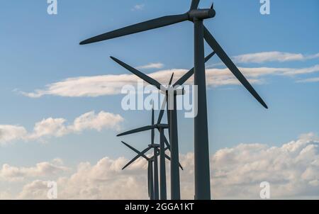 Stromerzeuger von Windenergieanlagen auf dem Windpark Stockfoto