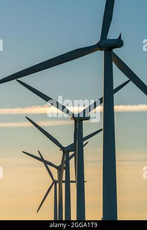 Stromerzeuger von Windenergieanlagen auf dem Windpark Stockfoto