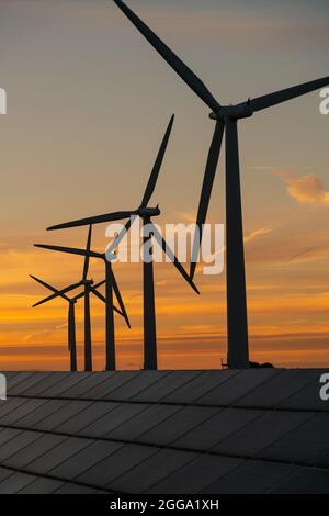 Stromerzeuger von Windenergieanlagen auf dem Windpark Stockfoto