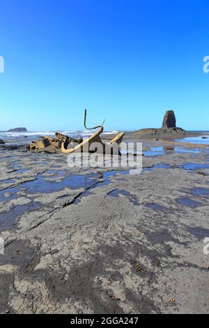 Wrack des Admiral von Tromp und des Black NAB-Seestapels in Saltwick Bay bei Whitby, North Yorkshire, England, Großbritannien. Stockfoto